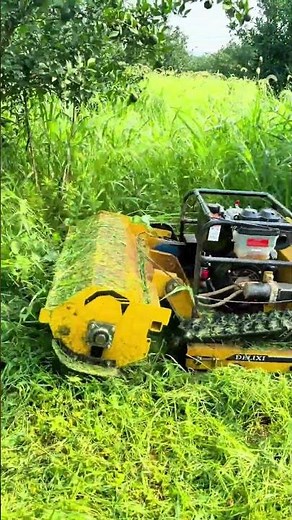Remote Control Flail Mower | The Best Slope Mower for Steep Hills & All Terrain #bestinmower