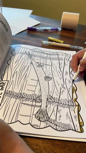 More Time Lapse Coloring.