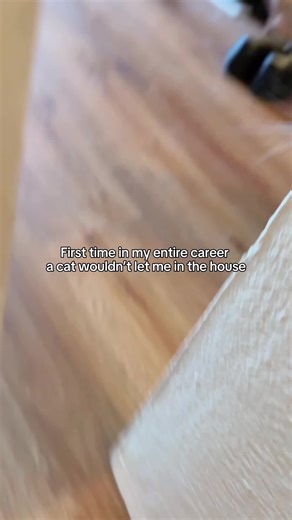 First time in my entire career a cat refused to let me into the house. Meet Bella, a beautiful, fiercely protective tuxedo cat who decided that even though I (her catsitter) was allowed inside the last two days… day three was absolutely not happening. But this baby still needs food, water, a clean litter box, and to know she’s completely in charge. So watch what happens when Bella guards the door. Honestly… well done, Bella. I’m so proud of you for being exactly who you are. #angrycat #catsoftik