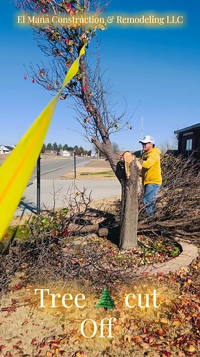 Why it’s very important to cut your dry trees before snow season begins, because it’s very dangerous for your property or someone else property, snow it’s to heavy for dry trees, so anything that is underneath or next to it, it’s big threatening, protect your family and your property, walk around your house and make sure your trees are in a safe position, key num 1 it’s always prevention. Give us a call if you want you tree to be trim or cutting off give us a call at (620)510-9293 #trees #winter