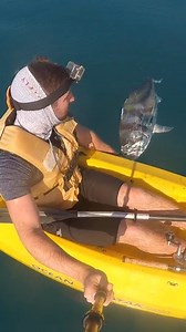 2.7K views · 51 reactions | I caught this big roosterfish in Costa...