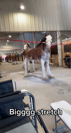 Michaela Bay (@michaelaredeker)’s videos with original sound - Michaela Bay