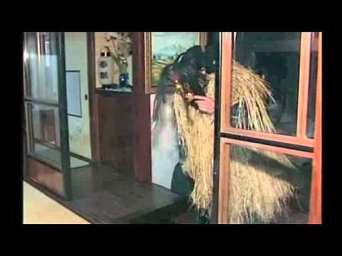 Namahage, Japanese Food Culture Association