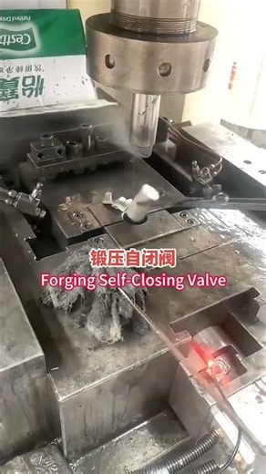 Forging Self Closing Valve