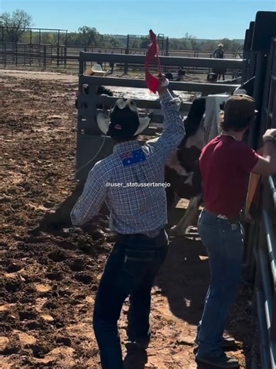 amado Edilson #rodeio #vaquejada