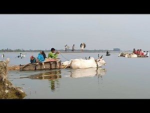 Everyday Life in India | You Won't Believe This [] Real Life India🇮🇳[4K]