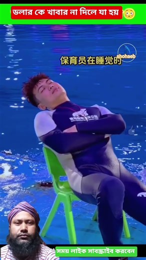 ডলার কে খাবার না দিলে যা হয় #funny #pool #swimming #entertainment #trending #shortvideos
