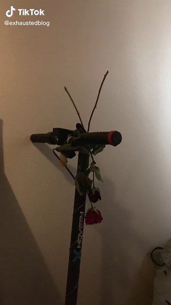 #girlinterrupted #thirteen #duster #lanadelrey #mazzystar #fyp