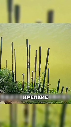 #рек #рыбалка #fyp #рекомендации #altkemping