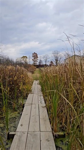 Bath Nature Preserve | Mark Brown