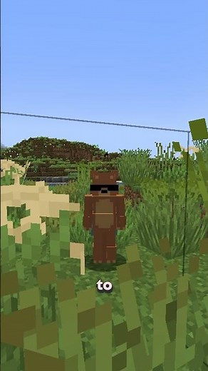 How to get started on the best MC server!!! #minecraft #gaming #mc #minecraftserver #playragesmp