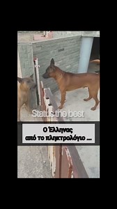 1.3M views · 10K reactions | Status the best on Reels | Facebook