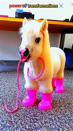 # power of transformations ☠️ #trollface #edit #trolledit #transformation