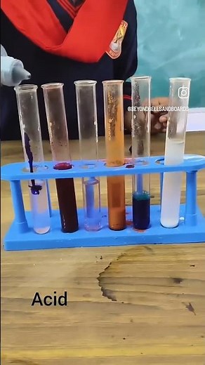 Learning chemistry the visual way — acids and bases with indicators and litmus paper 📖