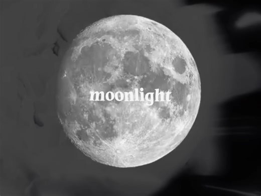 I keep forgetting I should let you go.. #lyrics #music #shakira #fyp