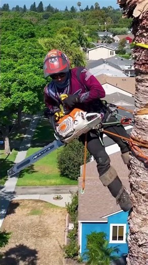 ￼ Dubai tree cutting technique