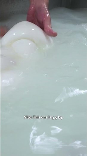 3 kg mozzarella braid 🪄