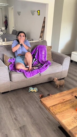 Surprised puppy #dog #dogsoftiktok #animals #fypシ #foryou