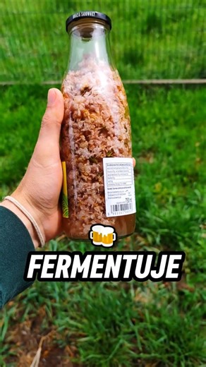 That's NOT Possible!!! 🥤😱 Carbonated drink made from elderflowers and water? 🌸 #forest #drink #li...