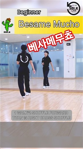 팍팍무쵸 Besame Mucho #dance #linedance #소이케이