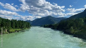 A wide, full-flowing mountain river with a fast current. Large stones stick out of the water. The large turquoise-colored mountain river Katun in the Altai Mountains, Altai Republic.