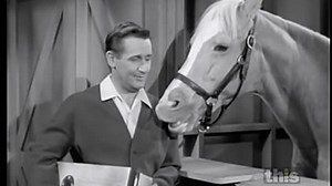 Mister Ed S6 - Don't Skin That Bear - (English)