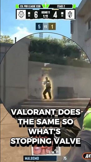 Why Valve Won’t Fix Anti-Cheat #cs2 #counterstrike #counterstrike2 #esports #gaming