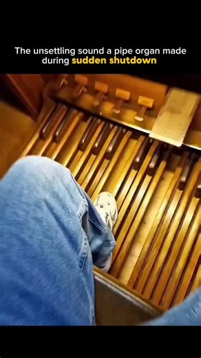 Mind sparked on Instagram: "When power suddenly cuts, a pipe organ doesn’t fade quietly — it unravels. The instrument depends on perfectly regulated airflow and synchronized electrical control to keep thousands of pipes locked in harmony. When that balance breaks mid-note, pressure drops unevenly and valves disengage at different speeds, sending each pipe off on its own path. 🎹⚙️ What follows is a haunting sonic collapse. Notes bend, sag, and groan as air pressure falters, pitches slide, and re