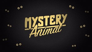 Mystery Animal by Nicole He & Nick Jonas - Experiments with Google