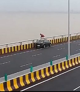 Young Engineer Ends His Life By Jumping From The Bridge