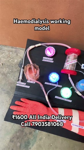 #haemodialysis #biology #scienceproject Haemodialysis working model