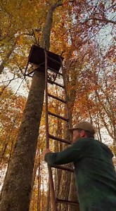 Hey, check your stands! | Get Outta Here