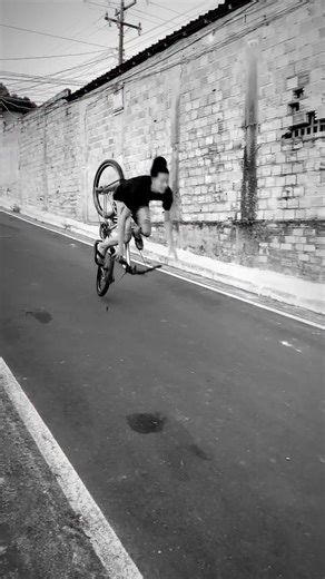 #mtb #bike #freeride #downhill #redbull