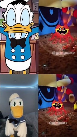 Donald Ducc OR Donald Ducc Animation?