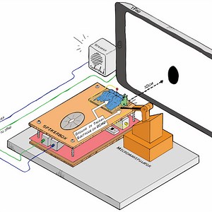 Neuroscience of Grasshopper Jumps