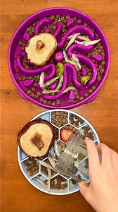 15K views · 177 reactions | Would you add fish & mushrooms to your dog’s kibble?!  #dogs #dogmom #dogfood #rawfeddog #dog #dogtreats #kibble #reels | Kayla Kowalski Nutrition | Facebook