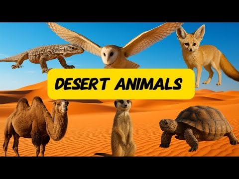 Desert Animals for Kids | Learn English | Educational Video