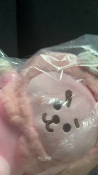 New bt21 plushies🥹🌸#bts #bt21 #army #bangtan #bangtansonyoendan #newbt21 #btmerch #kvibe #kpop #kpopshop