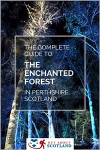 The Enchanted Forest, Perthshire | Perth & Kinross