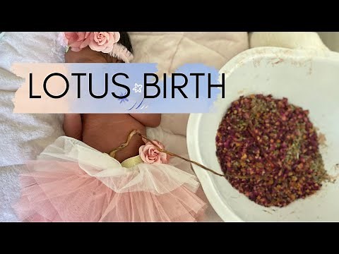 OUR LOTUS BIRTH EXPERIENCE | The Birth Of Our Baby Lotus | Amazing Birth Experience-Deonna & Kwame
