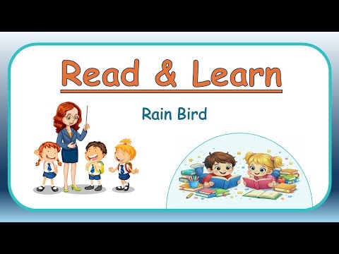 Rain Bird | Read Aloud for Kids | Easy English