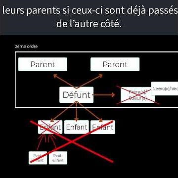 Quel est l'ordre des héritiers (sans conjoint et sans testament) ?