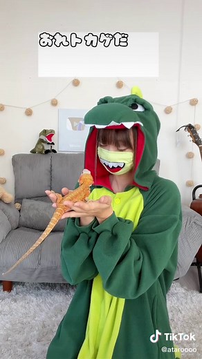 フトアゴヒゲトカゲの魅力と遊び方