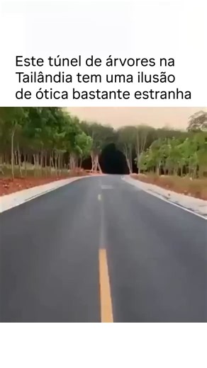 Impressionantes on Instagram: "Na região de Pahili, no sul da Tailândia, um fascinante túnel de seringueiras margeia uma estrada onde árvores imponentes se arqueiam sobre as cabeças, formando um dossel denso que cria uma impressionante ilusão de ótica: à distância, a entrada parece quase completamente preta, como um vazio ou uma passagem escura, devido ao forte contraste entre a luz solar intensa ao redor e o interior densamente sombreado. Conforme um veículo se aproxima e entra, a cena se trans