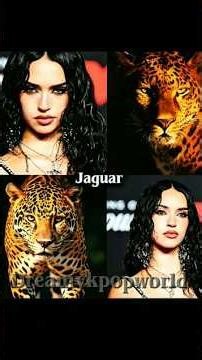 Katseye as animal..🔥#katseye #katseyegabriela #lara #manon #daniela #younchae #sophia #megan #shorts