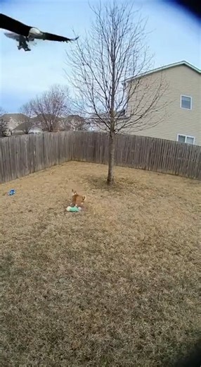 Binge Society - Dark on Reels