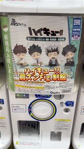 ガチャコンプリートまで回す！【肩ズンFig. ハイキュー!! 制服 青葉城西・梟谷学園】#ガチャガチャ #ハイキュー #gacha