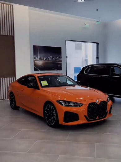 Bleys de monster mashin on TikTok