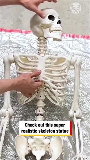 25K views · 26 reactions | Making a huge skeleton statue for Halloween Partner: Isaac Alexander DIY FB: https://www.facebook.com/IsaacAlexanderDIY/ YT: https://www.youtube.com/c/IsaacAlexanderDIY | Lady Panda | Facebook