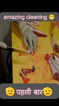 Sea Robin Fish Cutting 🐟 Perfect Clean Fillet Technique #shorts #youtubeshorts